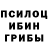 Псилоцибиновые грибы ЛСД Zenide Rosa